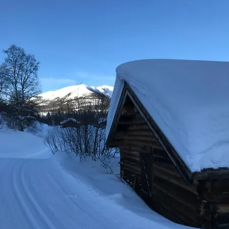 Taaje B Hemsedal